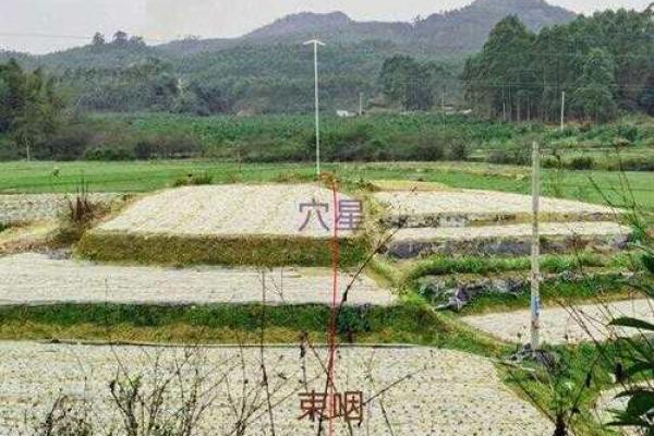 历史上有哪些真实祖坟风水故事 历史上有哪些真实祖坟风水故事