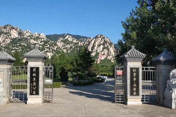 北京风水大师_北京朝内大街81号在历史上发生了什么 北京风水大师_北京朝内大街81号在历史上发生了什么