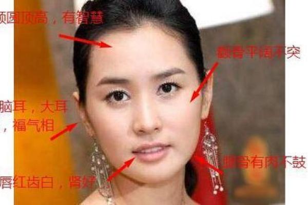 风水解读狐狸眼睛的女人面相怎么样 风水解读狐狸眼睛的女人面相怎么样