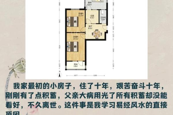 如何利用风水学为你的房子创造一个舒适的环境