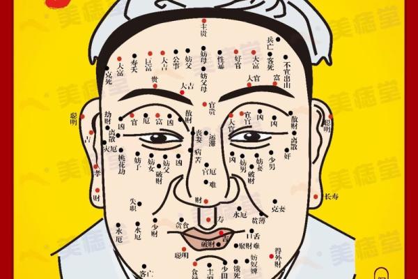面相风水泪堂痣的寓意是什么命运