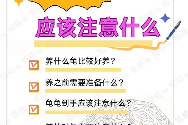 家里养乌龟需注意哪些风水问题 家里养乌龟需注意哪些风水问题