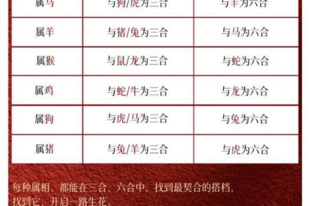三合风水_属龙与什么生肖最合得来