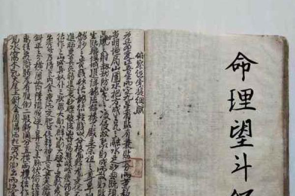 数斗算命 数斗算命