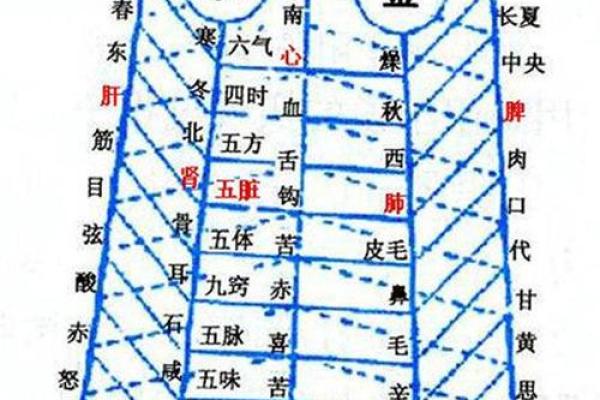 算命术为什么用五行金木水火土作算命的工具? 算命术为什么用五行金木水火土作算命的工具?