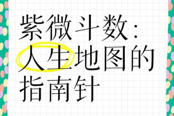 紫薇斗数测算人生