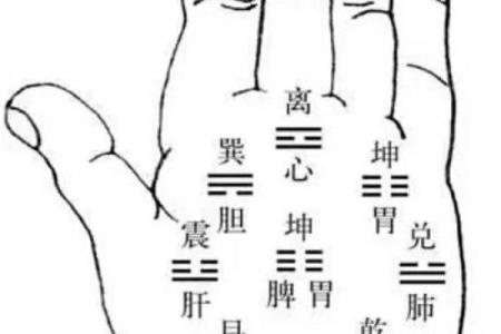 白鹤老师算命不准