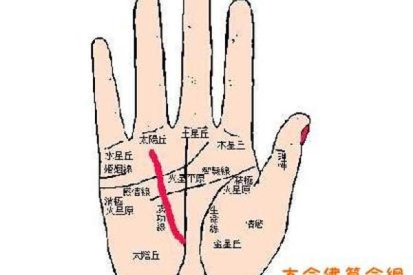 算命对脉搏有什么要求嘛