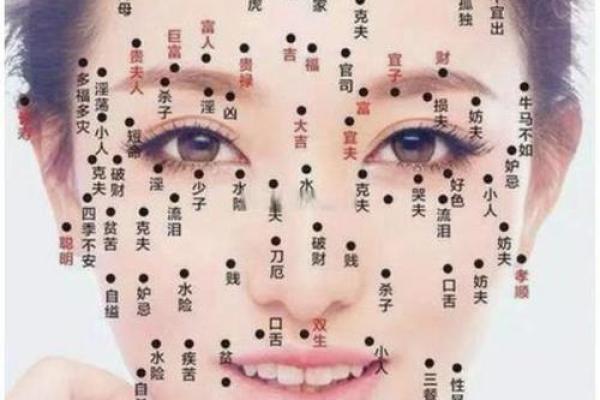 算命命中有几个子女 子女运跟下巴饱满有关 算命命中有几个子女 子女运跟下巴饱满有关