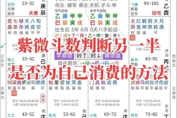 紫微斗数算命 紫微斗数算命