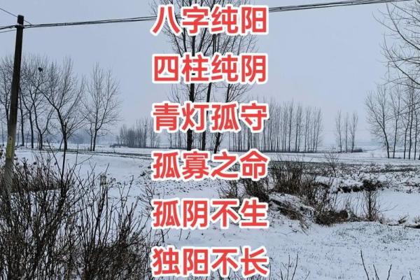 为什么说四柱纯阳不算命？四柱纯阳特点