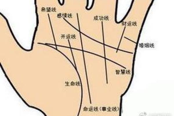 图解：手相希望线算命会得到结果