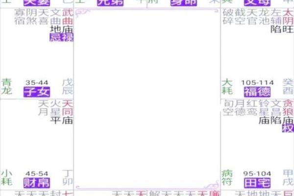 紫薇斗数四化 紫薇斗数四化