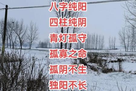 为什么说四柱纯阳不算命？四柱纯阳特点