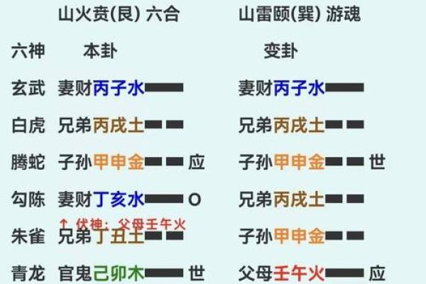 抽签算命占卜每日一占,六爻龟壳每日一卦 抽签算命占卜每日一占,六爻龟壳每日一卦