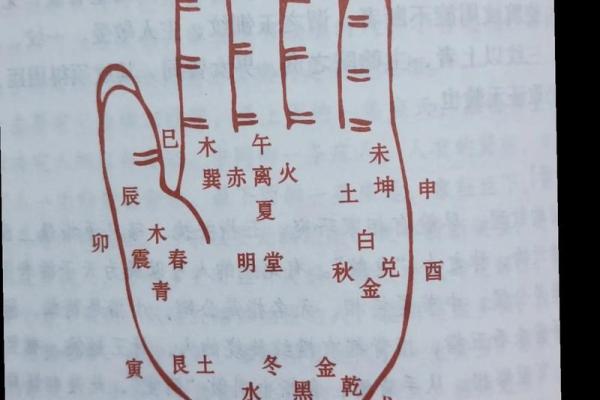 看手相算命图解:手 看手相算命图解:手