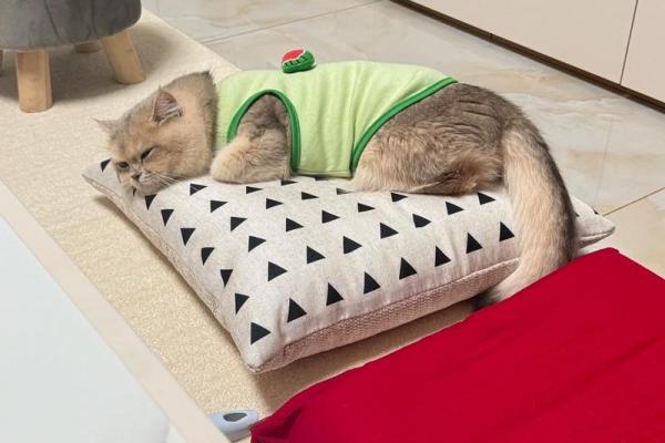 横着睡风水 横着睡风水