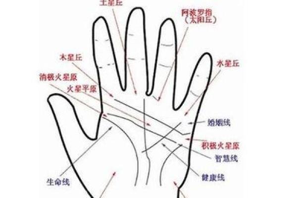 图解:手相上升线算命 图解:手相上升线算命