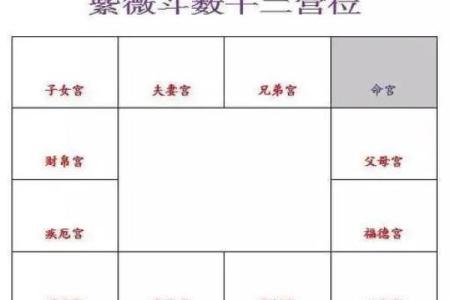 紫薇斗数丙干宫