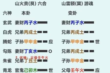 抽签算命占卜每日一占,六爻龟壳每日一卦