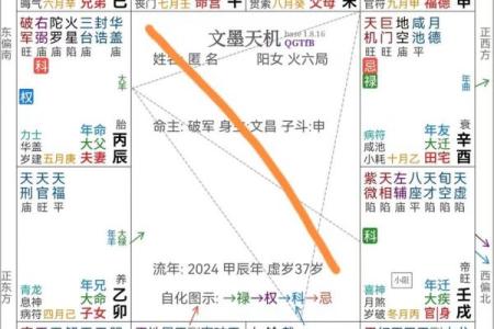 紫薇斗数工作怎么看