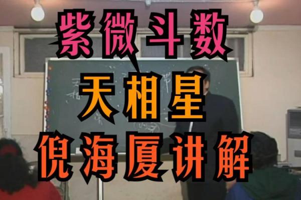 倪海厦天纪紫薇斗数9 倪海厦天纪紫薇斗数9