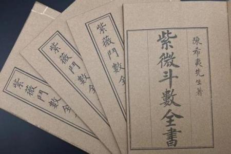 上海学紫薇斗数