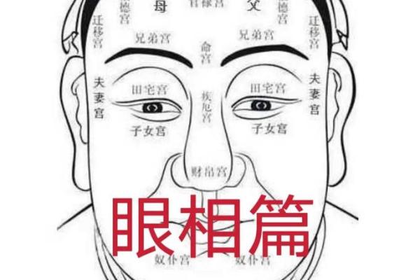 通过你的脸和面相就能显像风水 通过你的脸和面相就能显像风水