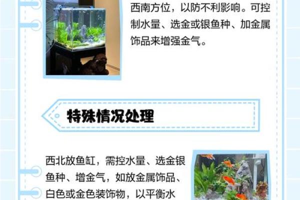 鱼缸的摆放位置与风水的关系 鱼缸的摆放位置与风水的关系