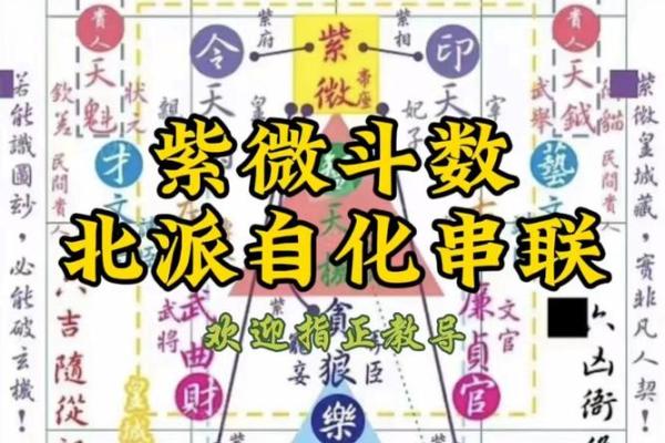 紫薇斗数生年自化 紫薇斗数生年自化