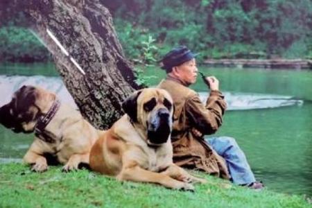 算命先生牛和猴配吗