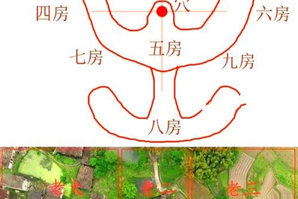 房子属于离风水 房子属于离风水