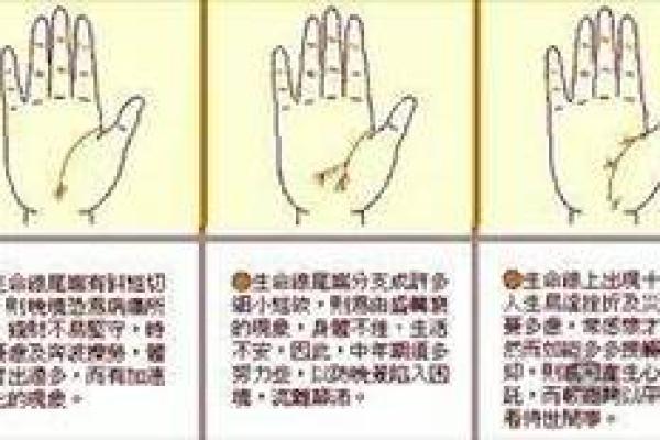 图解:手相手腕线算命 图解:手相手腕线算命