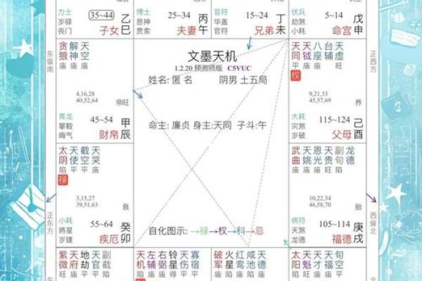紫薇斗数地劫星 紫薇斗数地劫星