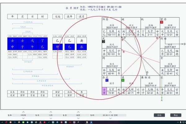 八字排盘软件开发 八字排盘软件开发