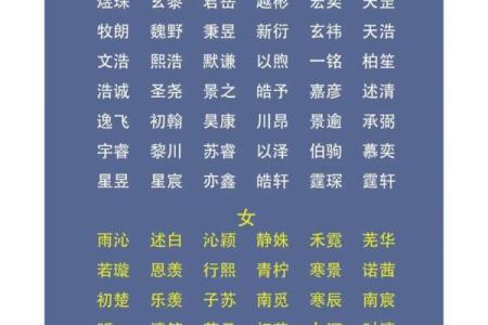 快369起名算命网