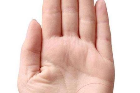 算命说命中带官财