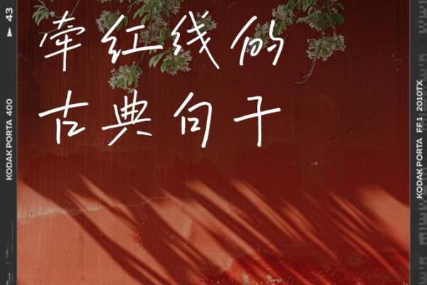 月老求姻缘的句子 月老求姻缘的句子图片? 月老求姻缘的句子 月老求姻缘的句子图片?