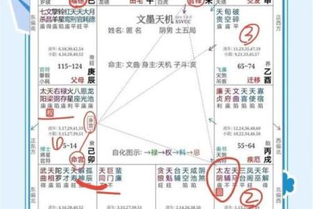 紫微斗数之后天运势－－岁限的分析推断，岁限的经验论断：斗分