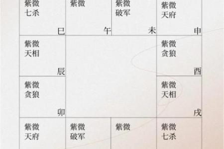 紫薇斗数科在命宫