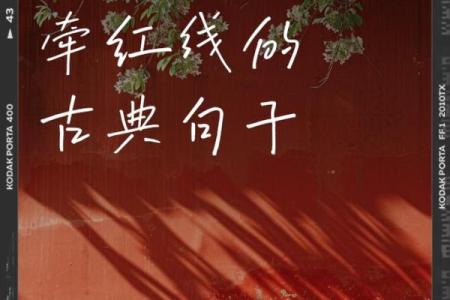 月老求姻缘的句子 月老求姻缘的句子图片？