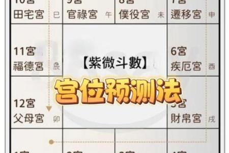 紫薇斗数批流年男顺女逆