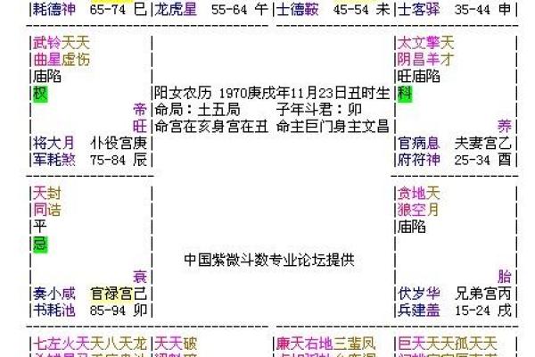大猫紫薇斗数博客 大猫紫薇斗数博客