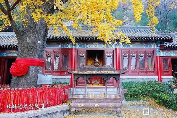 青岛解签灵的地方