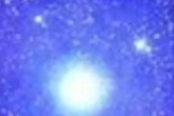 年紫薇星降世 年紫薇星降世