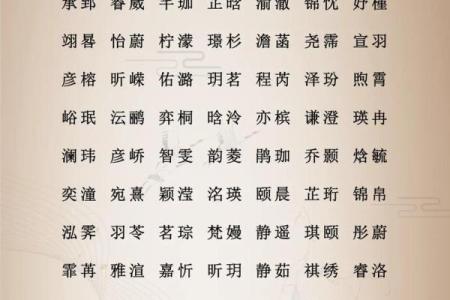 女孩取名按字辈算命
