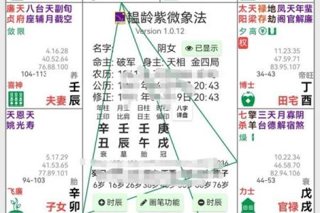 紫薇斗数看以什么方式赚钱