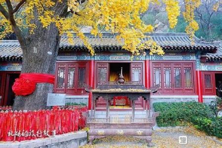 青岛解签灵的地方