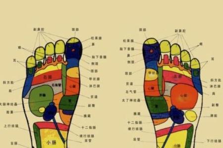 看相算命：详解脚底穴位图