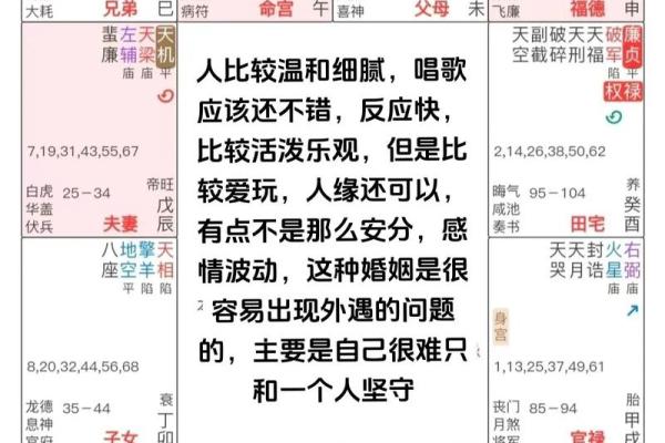 紫薇斗数命理八字占卜